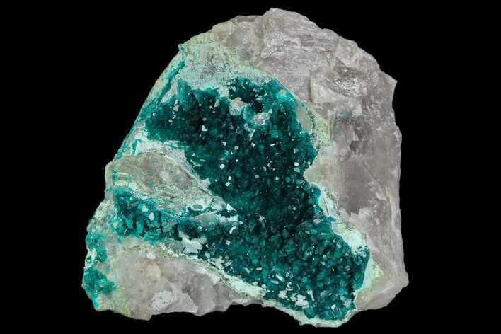 Gorgeous, Gemmy Dioptase Crystal Cluster - Namibia #129091